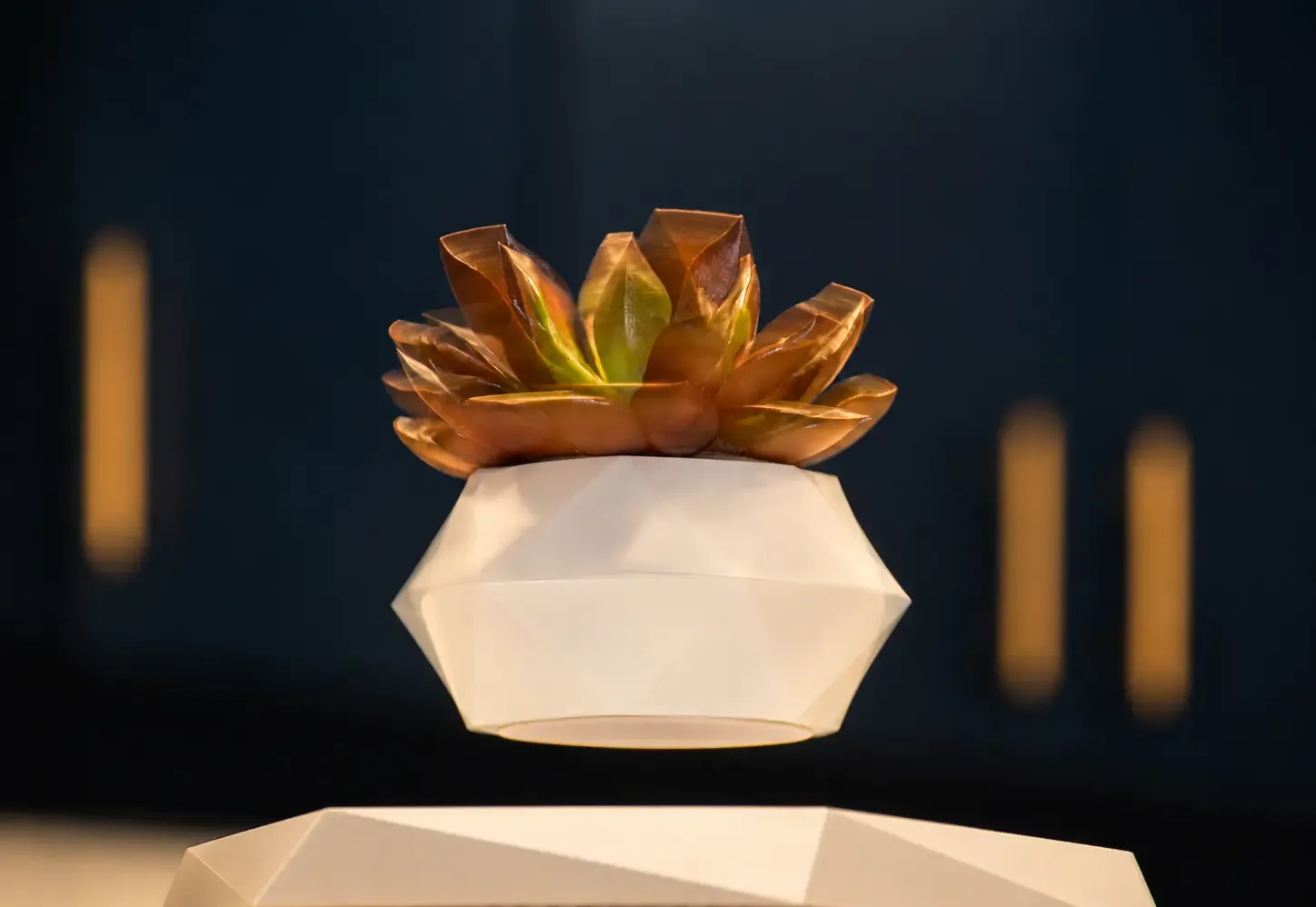 A Small Piece of Magic — The Plant at Neo Dental Beverly Hills